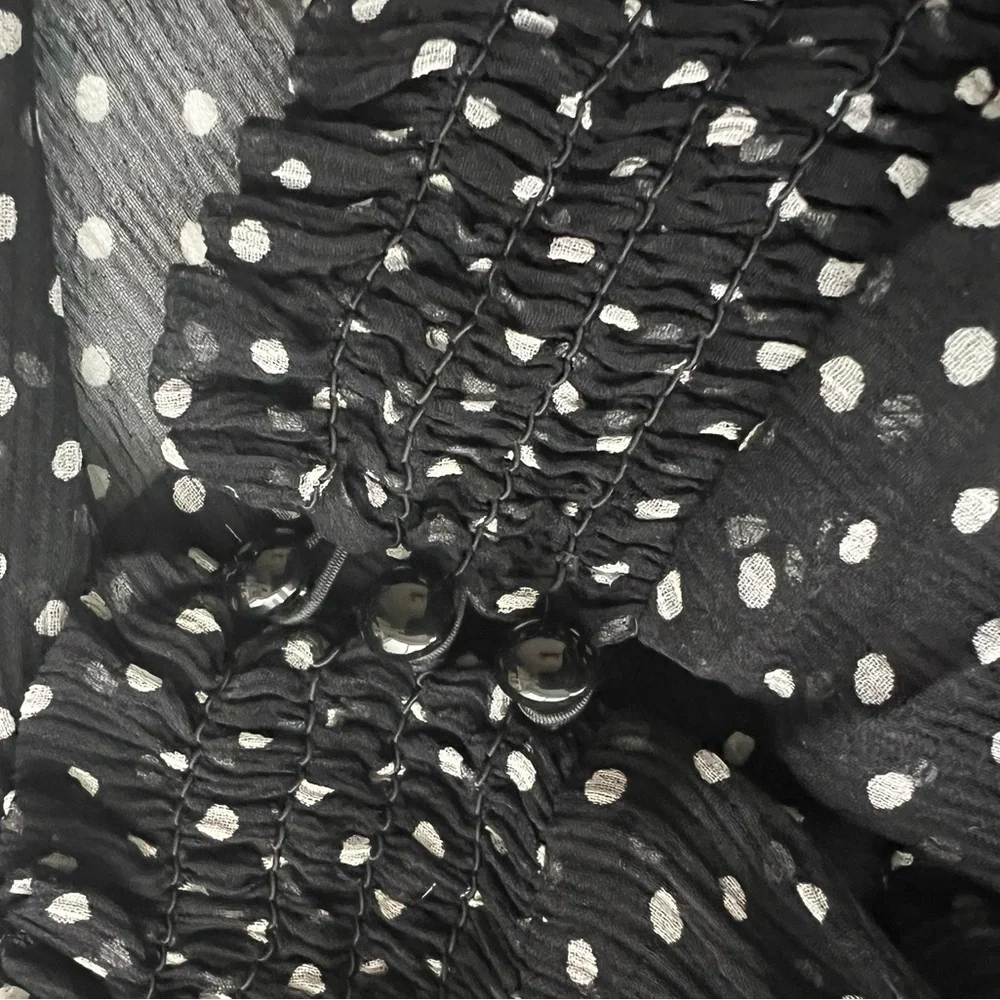 Sezane Olivia dress, silk black and white polka dots size 34 EUC - Picture 9 of 9
